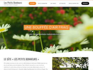 services infographiste web