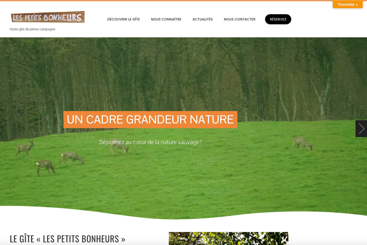 Aperçu site "Les Petits Bonheurs"