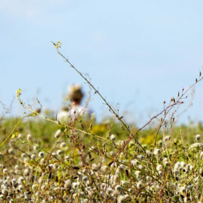 Reportage Bretagne©COMeStudio