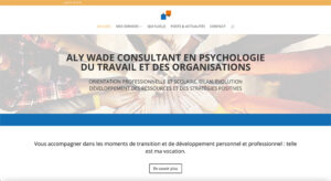 Site Internet d'Aly Wade