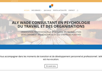 Site Internet<br>d&rsquo;Aly Wade