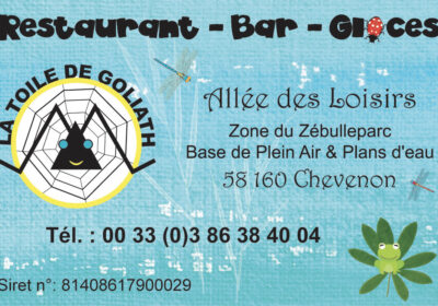 Cartes de visite La Toile de Goliath
